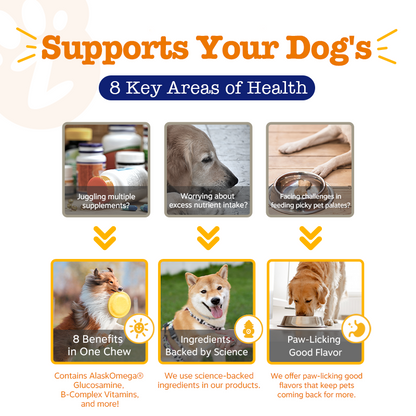 Zesty Paws 8 in 1 Bites Chicken Flavour Dog Supplement Chews 250ct