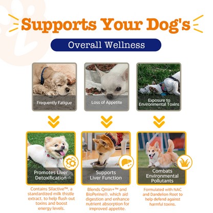 Zesty Paws Liver Support Bites Dog Supplement Chews 90ct