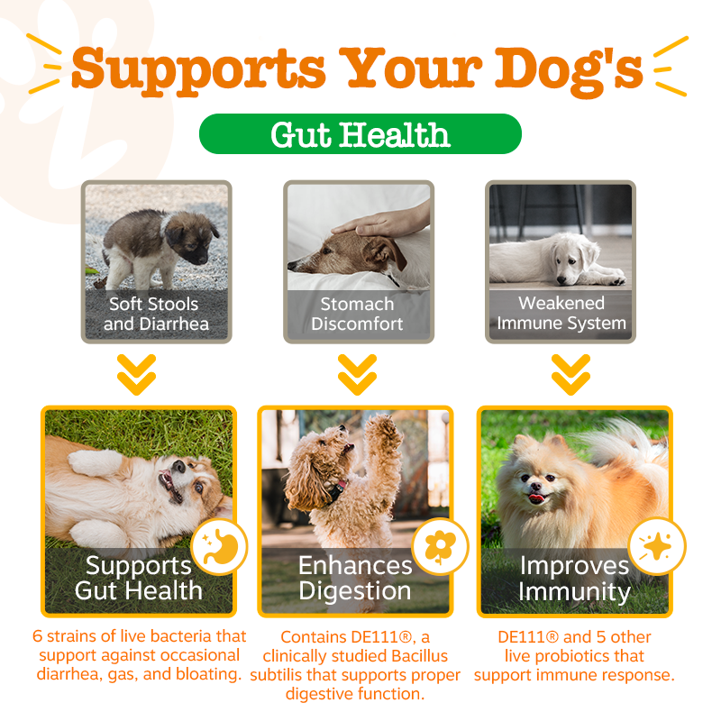 Zesty Paws Probiotic Bites Pumpkin Flavour Dog Supplement Chews 250ct