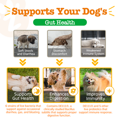 Zesty Paws Probiotic Bites Pumpkin Flavour Dog Supplement Chews 250ct