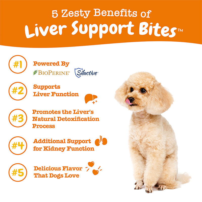 Zesty Paws Liver Support Bites Dog Supplement Chews 90ct
