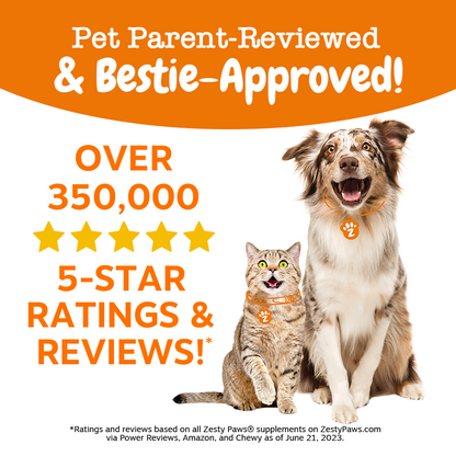 Zesty Paws Probiotic Bites Pumpkin Flavour Dog Supplement Chews 250ct