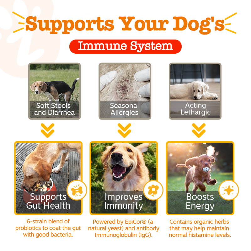 Zesty Paws Aller Immune Bites Lamb Flavour Dog Supplement Chews 250ct