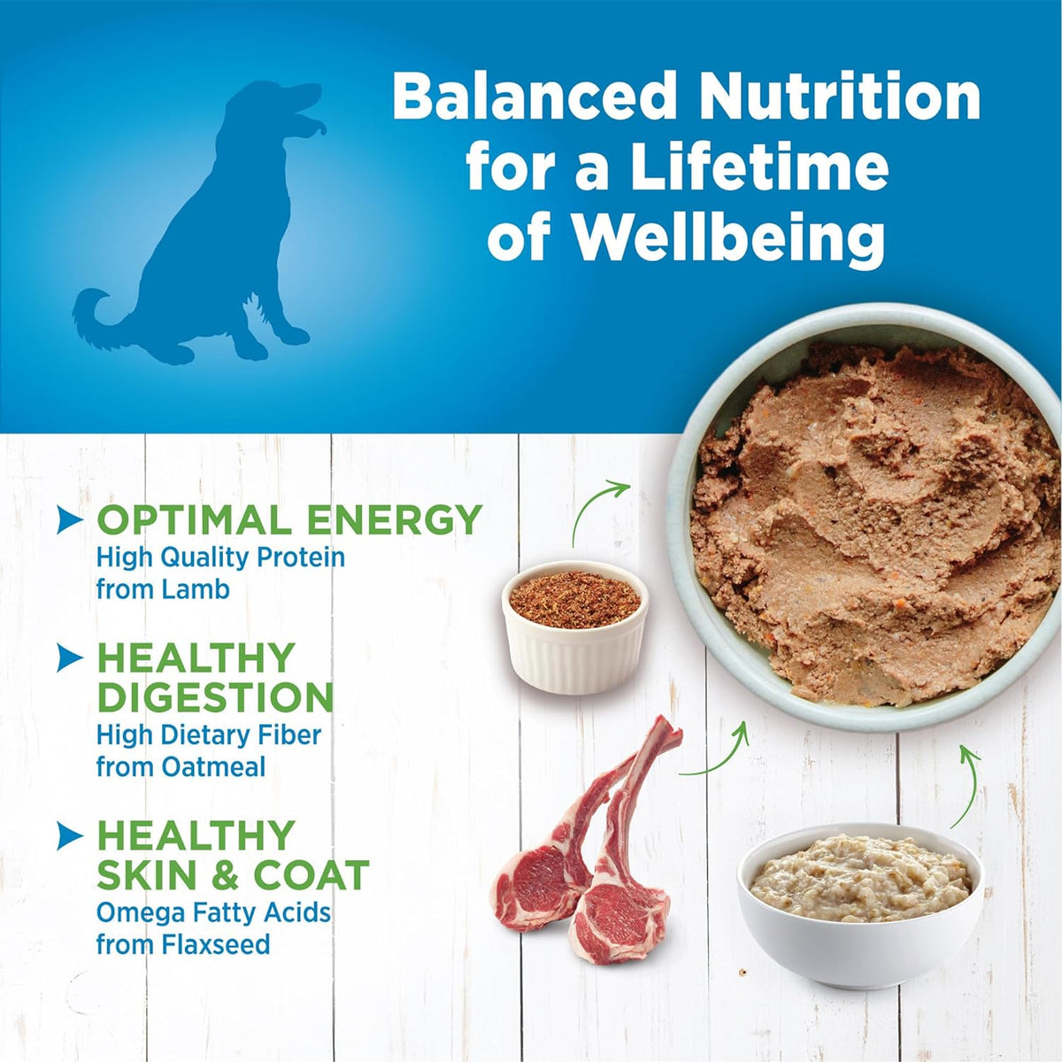 Wellness Simple Lamb & Oatmeal Limited Ingredient Canned Dog Food 12.5oz