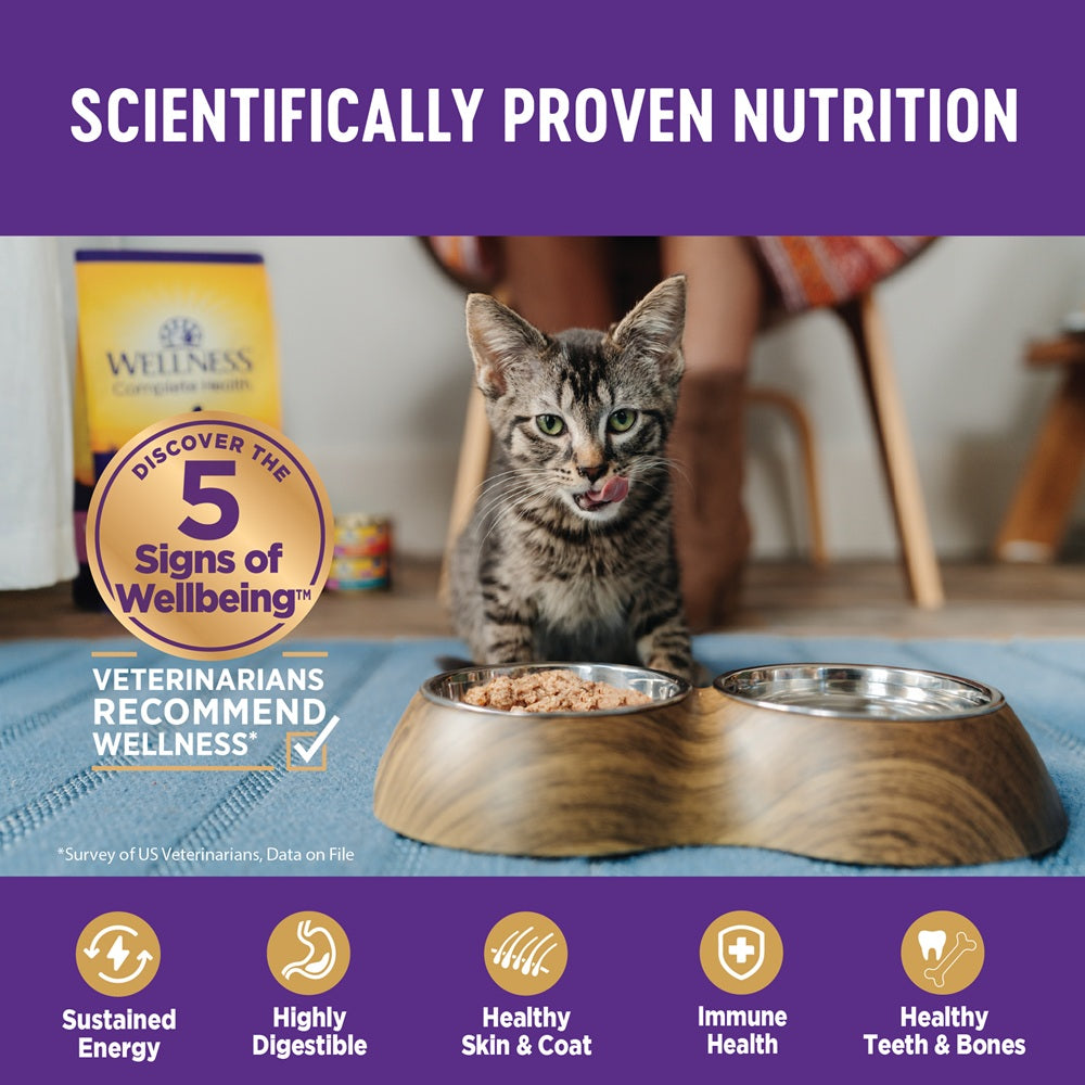 Wellness Complete Health Chicken & Lobster Pate Canned Cat Food 5.5oz