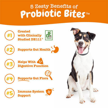 Zesty Paws Probiotic Bites Dog Supplement Chews 90ct Gut Support