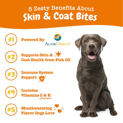 Zesty Paws Omega Skin & Coat Bites Dog Supplement Chews 90ct