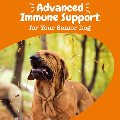 Zesty Paws Senior Advanced Aller Immune Bites Salmon Soft Chews for Senior Dogs 90ct