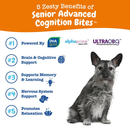 Zesty Paws Senior Advanced Cognition Bites Chicken Soft Chews for Senior Dogs 90ct