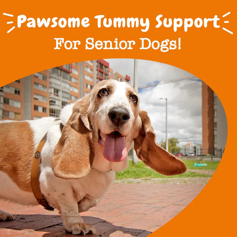 Zesty Paws Senior Advanced Probiotic Bites Chicken Soft Chews for Senior Dogs 90ct