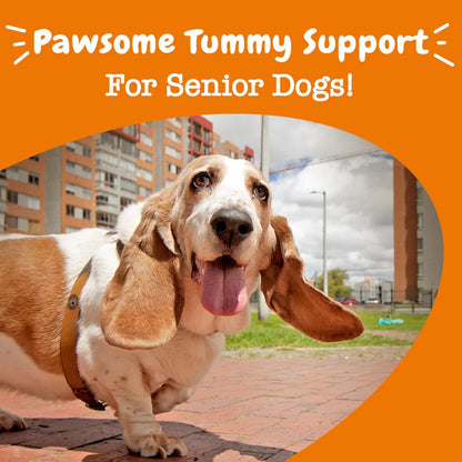Zesty Paws Senior Advanced Probiotic Bites Chicken Soft Chews for Senior Dogs 90ct