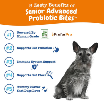 Zesty Paws Senior Advanced Probiotic Bites Chicken Soft Chews for Senior Dogs 90ct