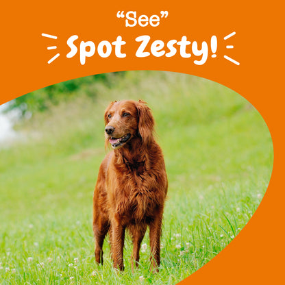 Zesty Paws Senior Advanced Vision Bites Chicken Soft Chews for Senior Dogs 90ct