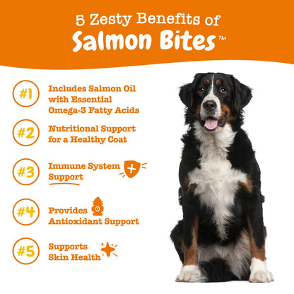 Zesty Paws Salmon Bites Dog Supplement Chews 90ct for Skin & Coat Support