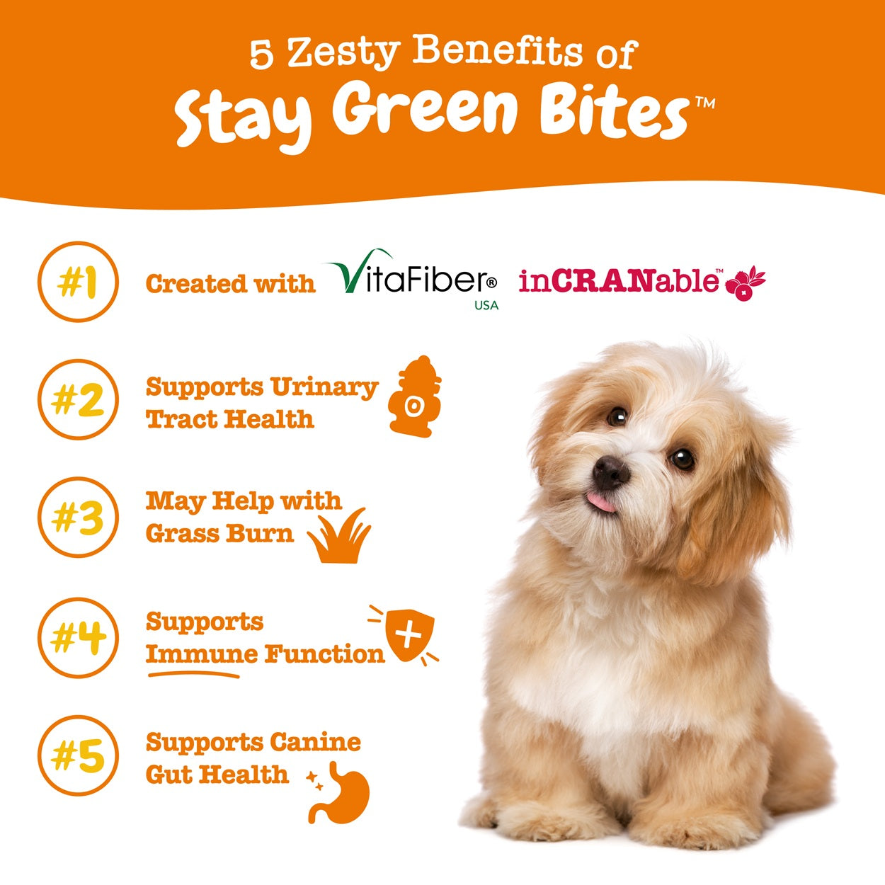 Zesty Paws Stay Green Bites Dog Supplement Chews 90ct