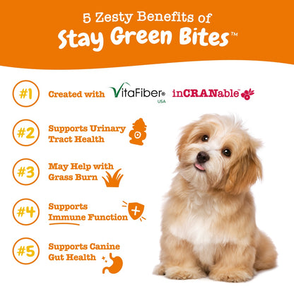 Zesty Paws Stay Green Bites Dog Supplement Chews 90ct