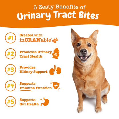 Zesty Paws Cranberry Bladder Bites Dog Supplement Chews 90ct