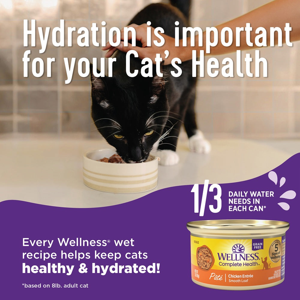 Wellness Complete Health Beef & Chicken Pate Grain Free Canned Cat Food 5.5oz