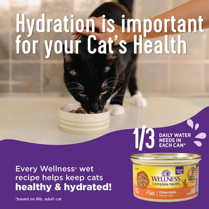 Wellness Complete Health Beef & Chicken Pate Grain Free Canned Cat Food 5.5oz