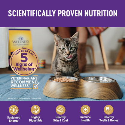 Wellness Complete Health Beef & Chicken Pate Grain Free Canned Cat Food 5.5oz