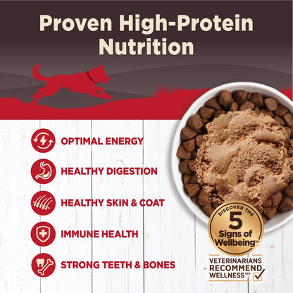 Wellness CORE Hearty Cuts Beef & Venison Grain Free Wet Dog Food 12.5oz