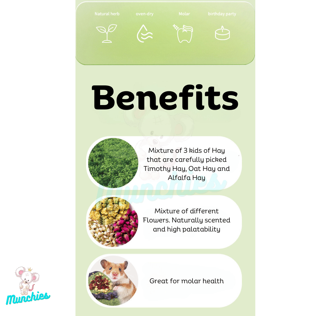 Munchies Handmade Timothy Hay Birthday Cake (14cm) – Natural Celebration Treat