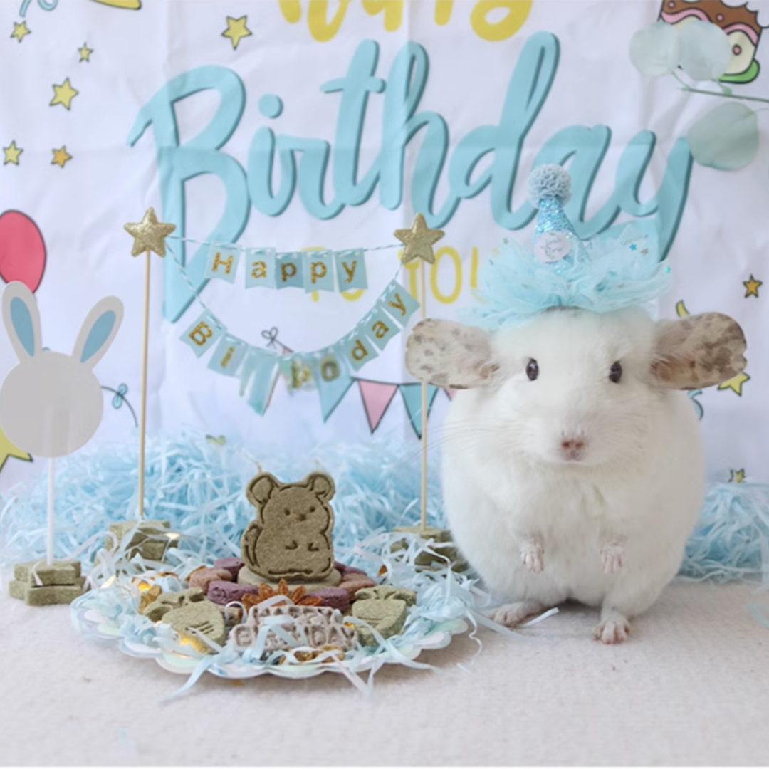 Munchies Handmade Natural Birthday Hay Cake with Accessories – For Rabbits, Guinea Pigs & Chinchillas