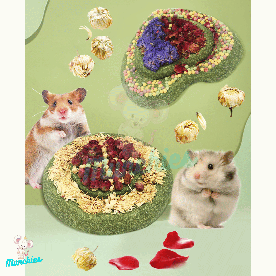 Munchies Handmade Timothy Hay Birthday Cake (14cm) – Natural Celebration Treat