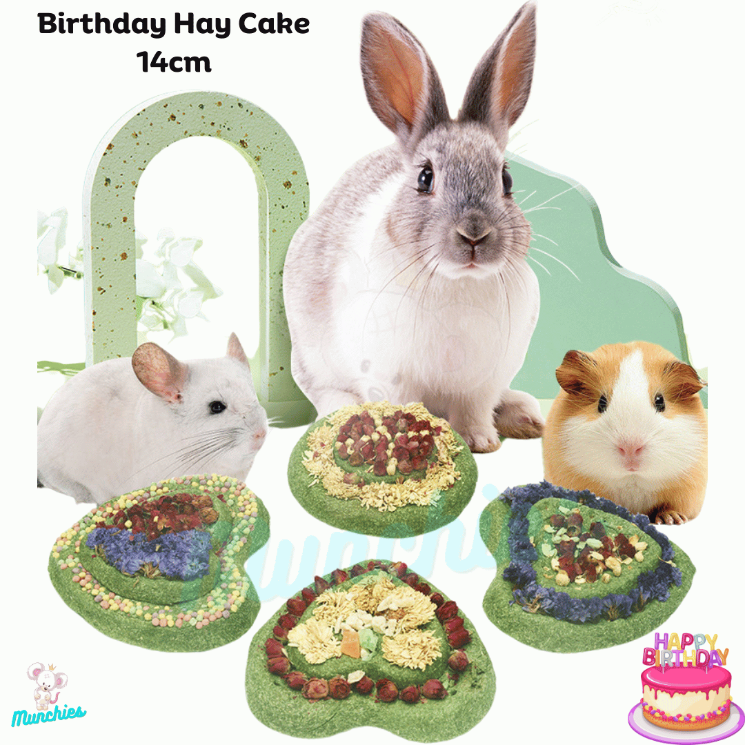 Munchies Handmade Timothy Hay Birthday Cake (14cm) – Natural Celebration Treat