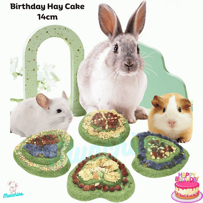 Munchies Handmade Timothy Hay Birthday Cake (14cm) – Natural Celebration Treat