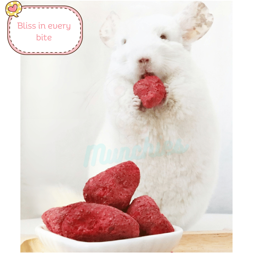 Munchies Freeze-Dried Strawberry – Human Grade Treat