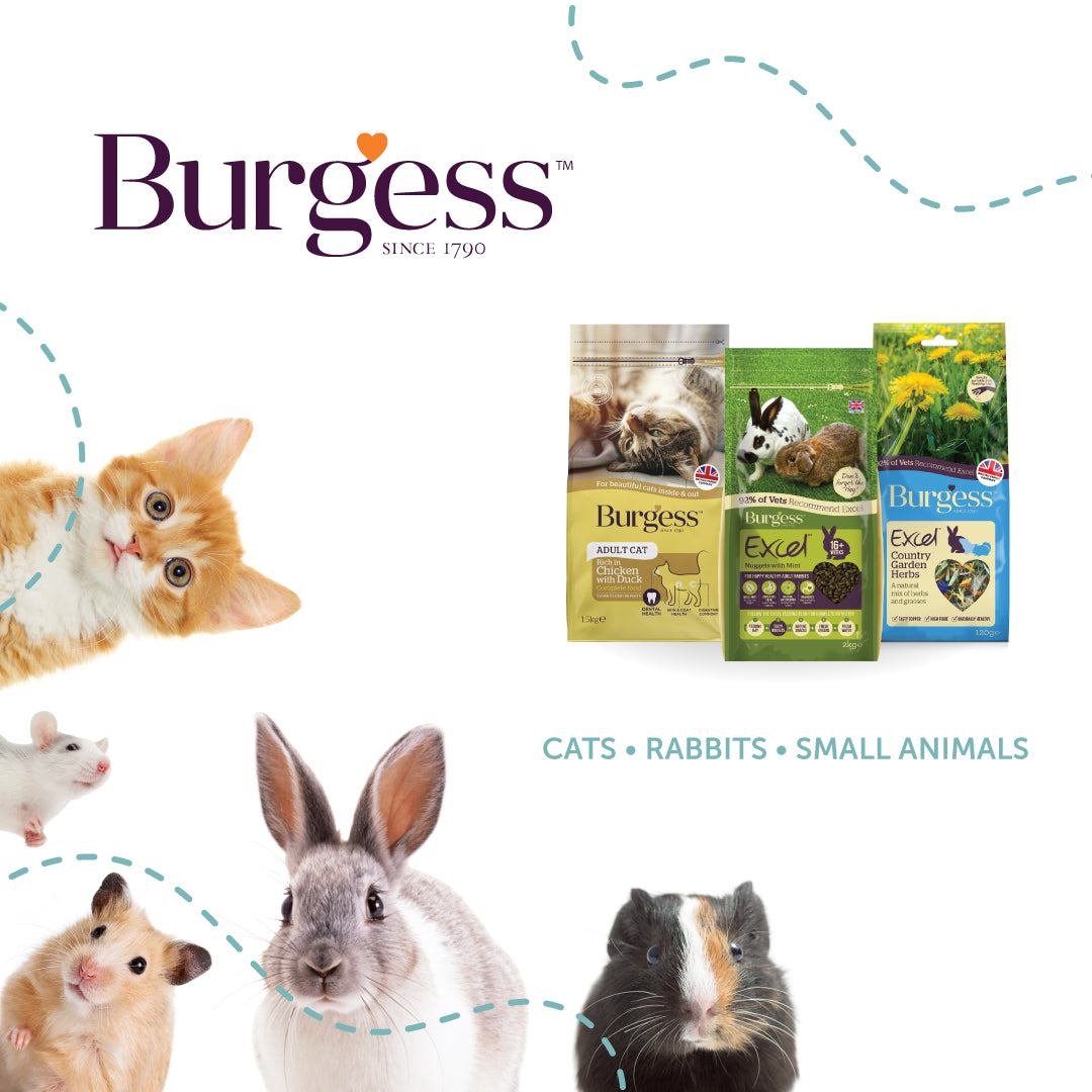 [Any 4 for $19.80] Burgess Excel Winter Berry Bakes for Rabbits & Guinea Pigs 60g – Limited Edition Seasonal Snack