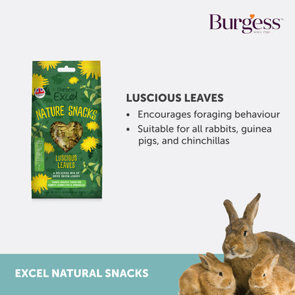 Burgess Excel Luscious Leaves – 60g