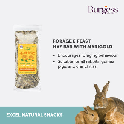 [Any 4 for $19.80] Burgess Excel Forage Feast Hay Bar with Marigold