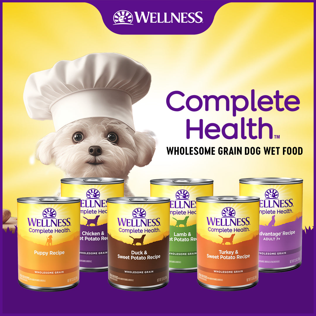 Wellness Complete Health Turkey & Sweet Potato Canned Dog Food 12.5oz