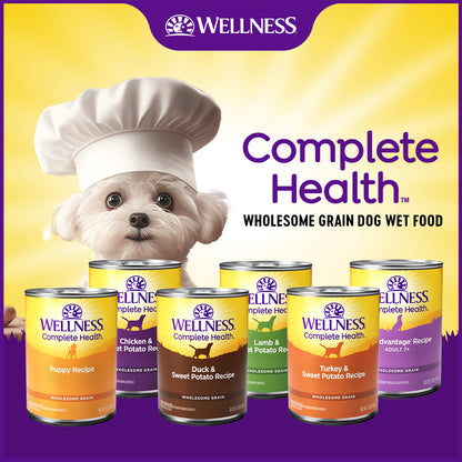 Wellness Complete Health Turkey & Sweet Potato Canned Dog Food 12.5oz