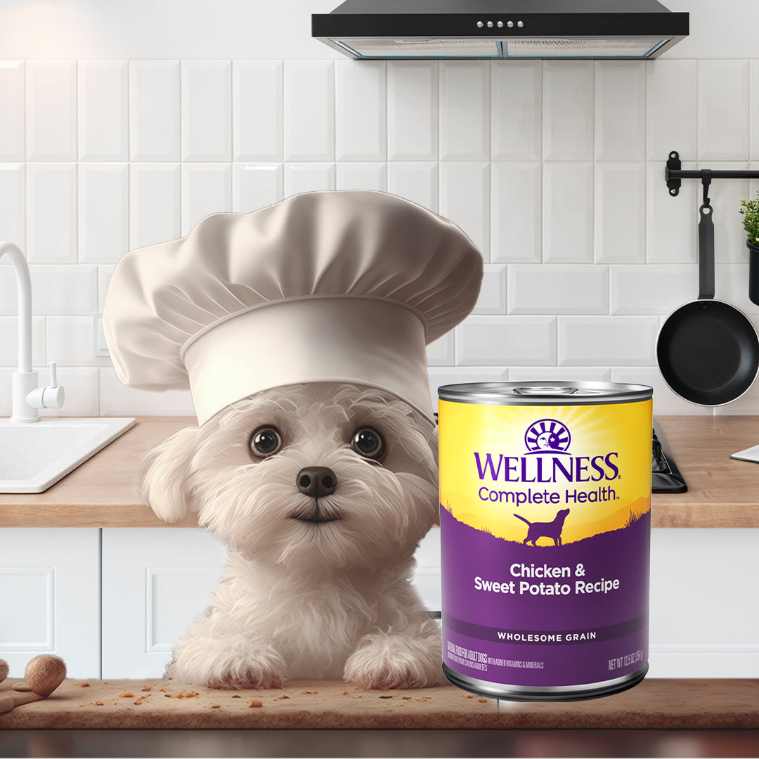 Wellness Complete Health Chicken & Sweet Potato Wet Dog Food 12.5oz