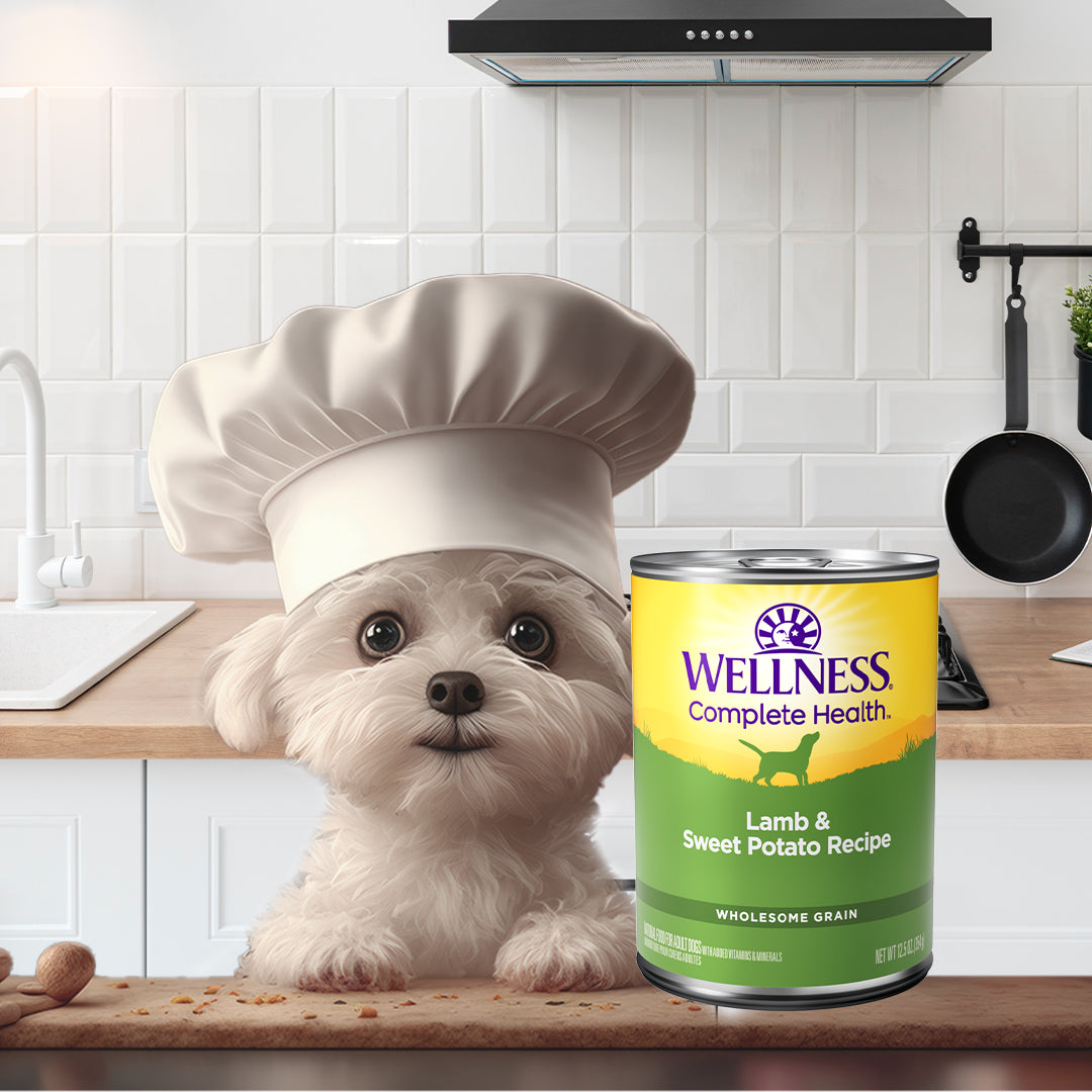 Wellness Complete Health Lamb & Sweet Potato Pate Canned Dog Food 12.5oz