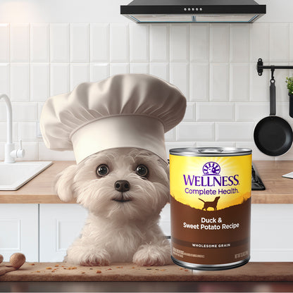 Wellness Complete Health Duck & Sweet Potato Wet Dog Food 12.5oz