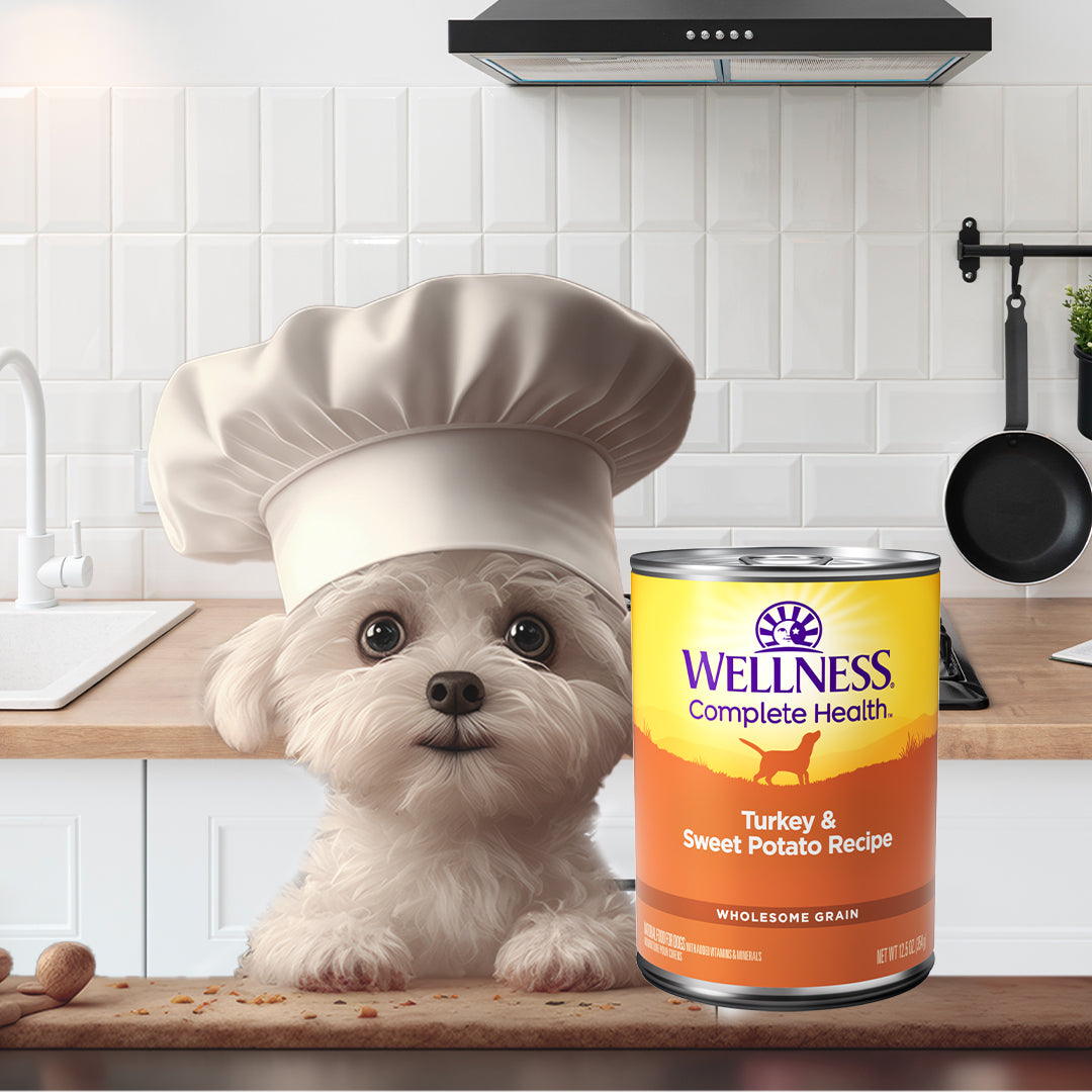 Wellness Complete Health Just For Puppy Canned Dog Food 12.5oz