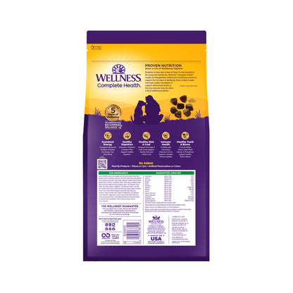 Wellness Complete Health Lamb & Barley Adult Dry Dog Food 5LB and 30LB