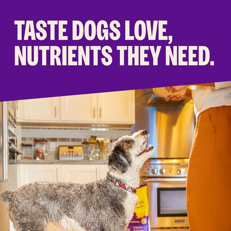 Wellness Complete Health Whitefish & Sweet Potato Poultry Free Adult Dry Dog Food 5LB and 30LB