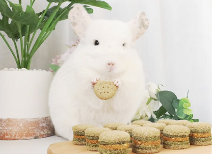 Munchies Handmade Hamburger Hay Cake – 4pcs Natural Treats for Rabbits, Guinea Pigs & Chinchillas