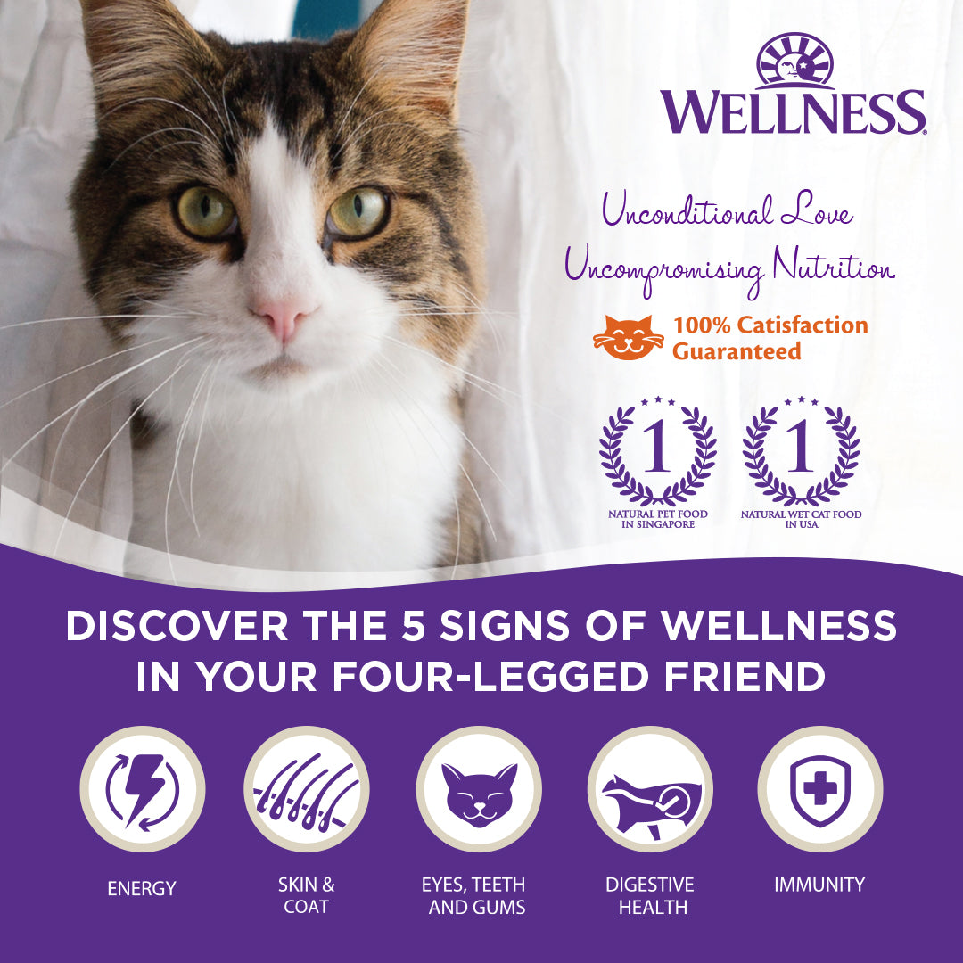 Wellness CORE Original Deboned Turkey & Chicken Grain Free Adult Dry Cat Food 11LB