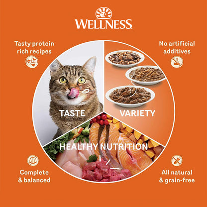 Wellness CORE Original Deboned Turkey & Chicken Grain Free Adult Dry Cat Food 11LB