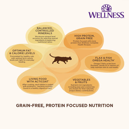 Wellness CORE Original Deboned Turkey & Chicken Grain Free Adult Dry Cat Food 11LB