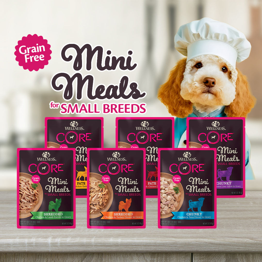 Wellness CORE Mini Meals Chunky Chicken & Tuna Grain Free Dog Food 3oz
