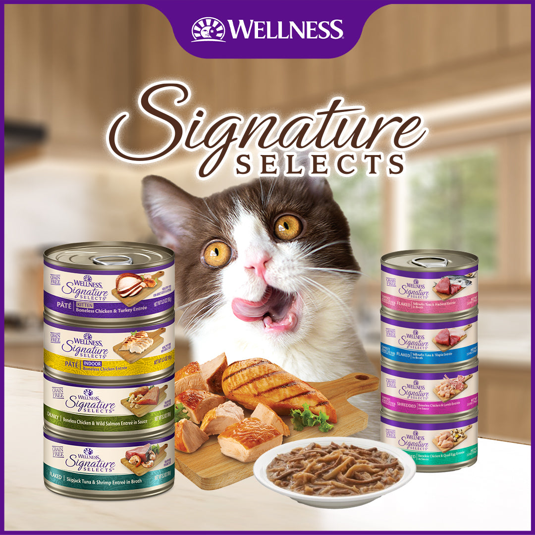 Wellness CORE Signature Selects Shredded Chicken & Chicken Liver Grain Free Canned Cat Food