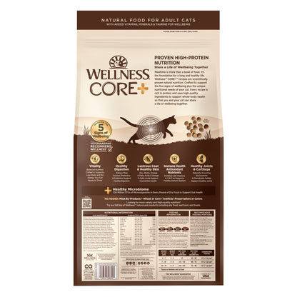 Wellness CORE Digestive Health Salmon & Brown Rice Adult Dry Cat Food