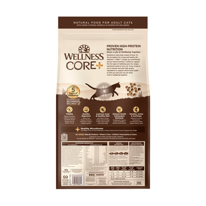 Wellness CORE+ Indoor Chicken & Turkey Grain Free Dry Cat Food 11LB